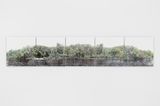 Salt Island by Monica De Miranda contemporary artwork photography print textile works on paper