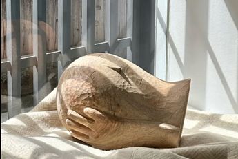 Contemporary art exhibition Rodrigo Hernandez Fish at Nonaka-Hill Los Angeles United States