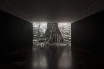 Contemporary art exhibition Jae-Eun Choi Nature Rules  at Kukje Gallery Seoul South Korea
