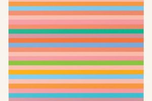 Bridget Riley