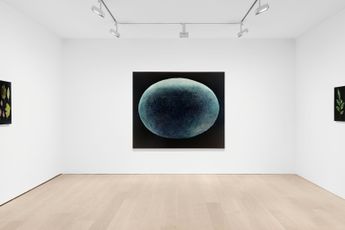 Contemporary art exhibition Daichi Takagi Suchness at David Zwirner London United Kingdom