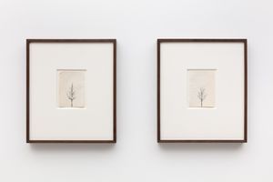 Peter Liversidge
