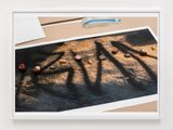 seeds by Paul Hutchinson contemporary artwork print