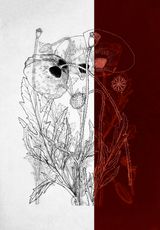 Knowing the Land 6 by Dor Guez contemporary artwork photography