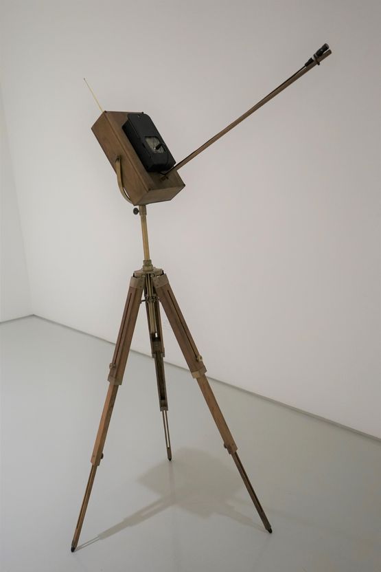 Memorial to the Last Christmas Island Pipistrelle by Robert Zhao Renhui contemporary artwork Installation