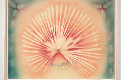 Anat Ebgi Celebrates Forerunners of West Coast Feminist Art