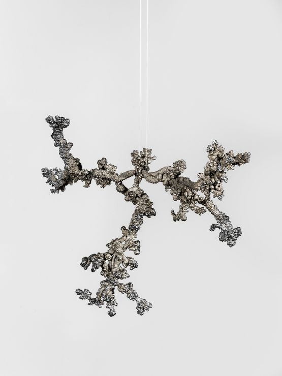 Unthoughtforms by Agnieszka Kurant contemporary artwork Design
