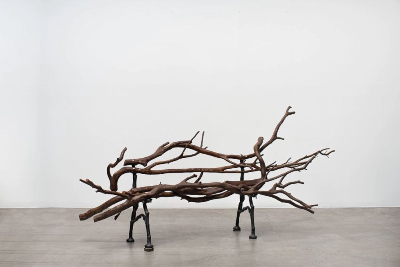 MARCIUS GALAN
