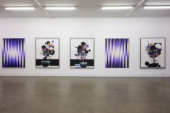 Contemporary art exhibition Martin Basher Birds of Paradise at Starkwhite Auckland New Zealand