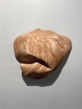 Studies for potential metamorphoses XLI by Yasam Sasmazer contemporary artwork sculpture