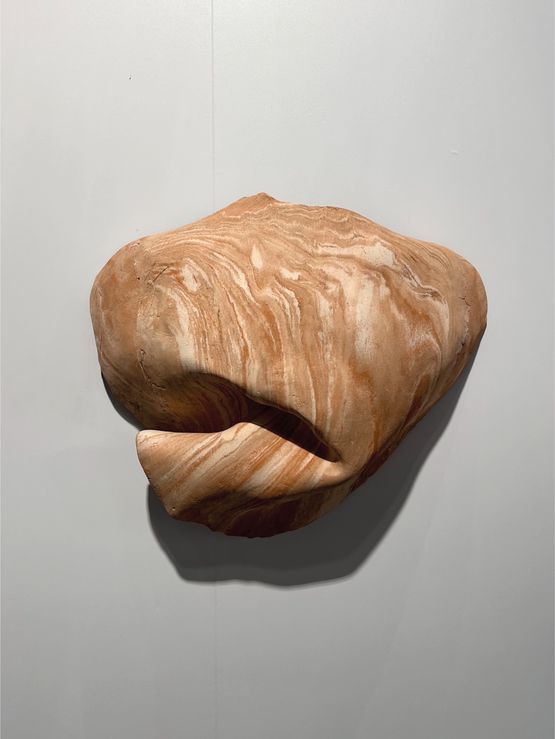 Studies for potential metamorphoses XLI by Yasam Sasmazer contemporary artwork Sculpture