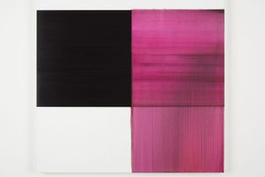 Callum Innes