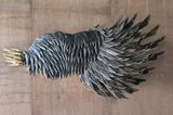 Left Wing Project Belok Kiri Jalan TerusWing 11 by Alfredo  Isabel Aquilizan contemporary artwork sculpture