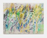 Meglomaniac mind control by Jan-Henri Booyens contemporary artwork painting