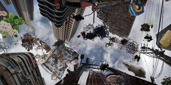 Whos city which is my home by Isa Ho contemporary artwork Photography