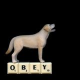 Obey by Angki Purbandono contemporary artwork print sculpture