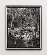 Fifteenth beast by Gerard Byrne contemporary artwork photography