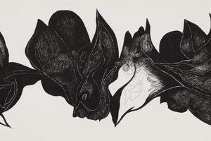 Hedda Sterne