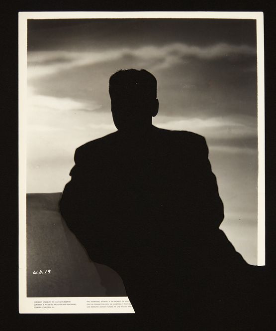 Shadow XL by John Stezaker contemporary artwork Mixed Media