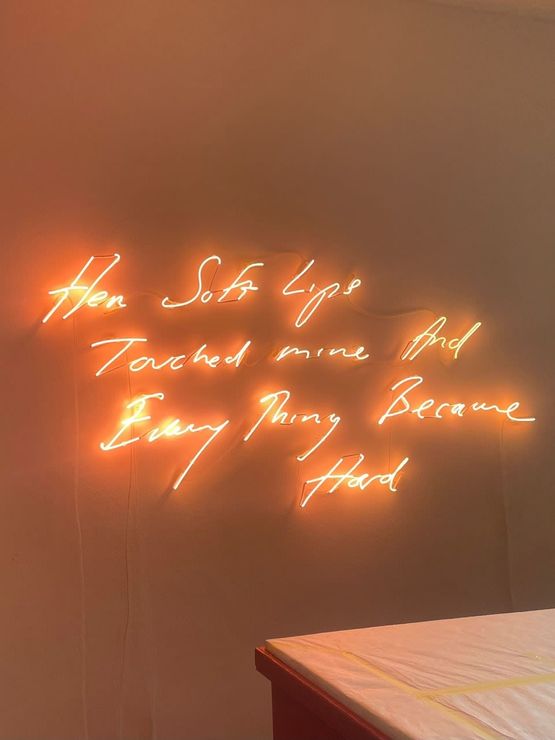 Her soft lips touched mine and everything became hard by Tracey Emin contemporary artwork Sculpture