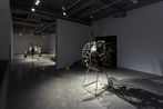 Free Biographies by Sun Yuan  Peng Yu contemporary artwork Installation