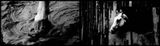 The Undertow by Feng Bingyi contemporary artwork moving image