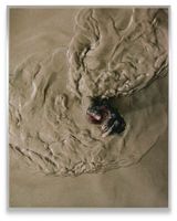 Rapture by Tyler Mitchell contemporary artwork print