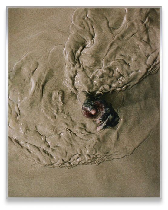 Rapture by Tyler Mitchell contemporary artwork Print
