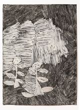 Untitled by Nyapanyapa Yunupiu contemporary artwork works on paper