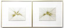 Palm 20 Galaxy II by Hu Yun contemporary artwork Works on Paper
