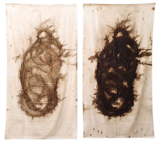 Noed Sauvage I II by Christian Jaccard contemporary artwork Mixed Media