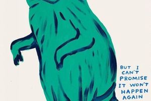 David Shrigley