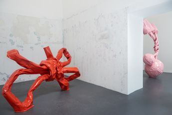 Contemporary art exhibition Anna Fasshauer Its a Boom Boom at Fabienne Levy Lausanne Switzerland