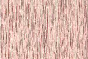 Ghada Amer
