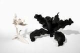 KYNZHA HUMMINGBIRD by Ana Gonzalez contemporary artwork sculpture