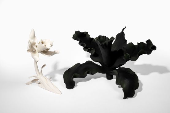 KYNZHA HUMMINGBIRD by Ana Gonzalez contemporary artwork Sculpture