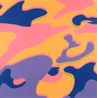 Camouflage F. S. 410 by Andy Warhol contemporary artwork Print