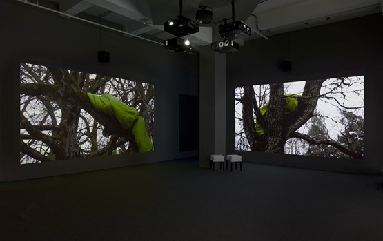 Studies on the Ecology of Drama by Eija-Liisa Ahtila contemporary artwork Installation