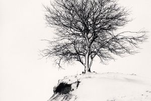 Michael Kenna