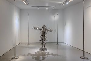 Li Hongbo