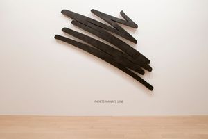 Bernar Venet