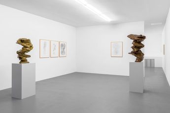Contemporary art exhibition Tony Cragg Tony Cragg at Buchmann Galerie Buchmann Box Berlin Germany