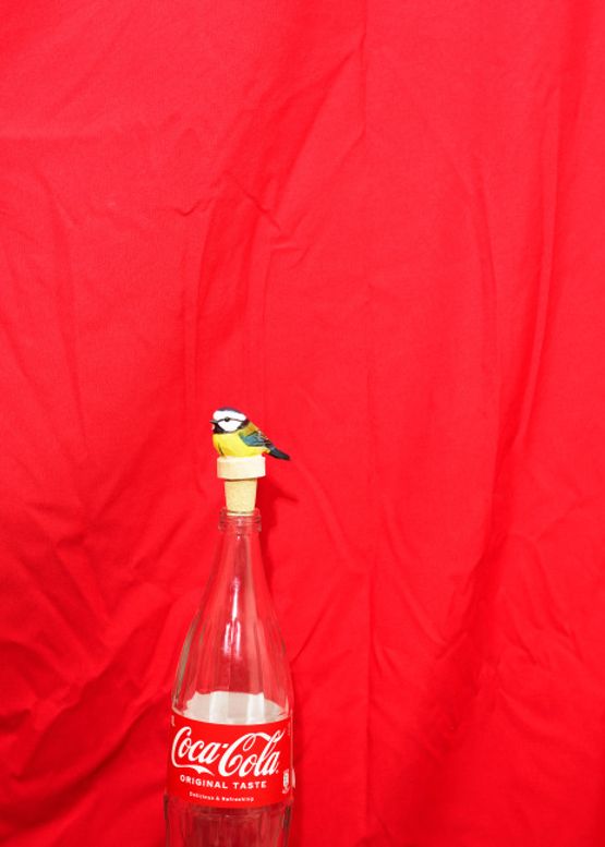Cola Meise by Annette Kelm contemporary artwork Photography