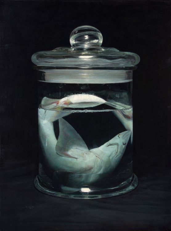 Shark by Miguel Angel Moya contemporary artwork Painting