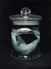 Shark by Miguel Angel Moya contemporary artwork Painting