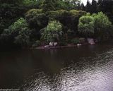 Green 2 by Liang Yue contemporary artwork photography