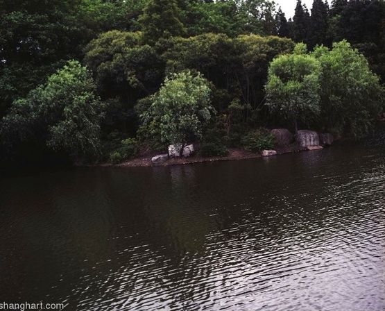 Green 2 by Liang Yue contemporary artwork Photography