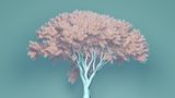 Digital Death by Claudia Hart contemporary artwork moving image