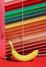 Banana by Annette Kelm contemporary artwork Print
