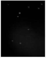 Bubbles II by Tomoko Yoneda contemporary artwork photography